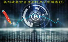 新加坡基金會注冊代辦公司哪家好？