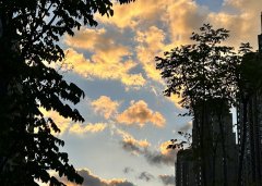 解析中國(guó)投資者適合注冊(cè)哪種類型泰國(guó)公司