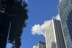 谷歌支付登陸沙特，支付寶于2026年接入，企業(yè)出海中東市場開辟新的合作機遇