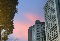 日本公司注冊地址的合規(guī)要求與實(shí)務(wù)指南